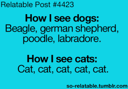tumblr_mejh2awCJV1rr3l61o1_250.png
