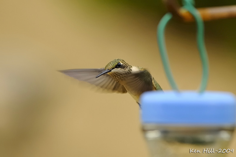612278801_jh33F-L.jpg