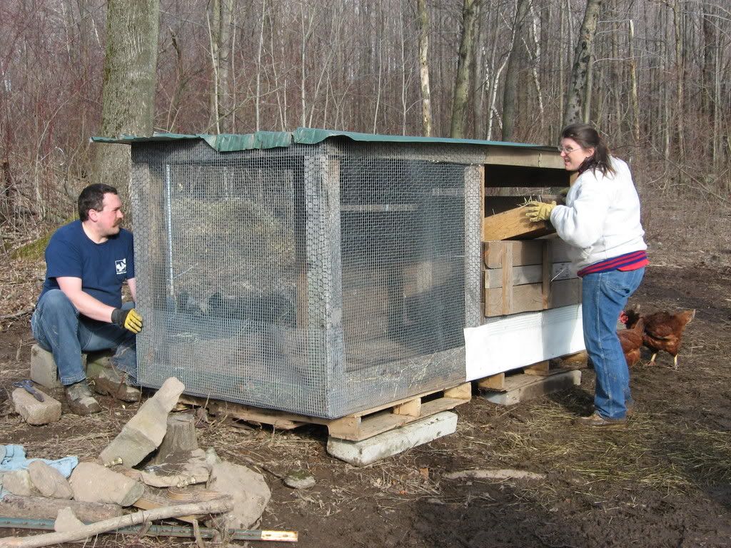 chickenworkdocumentary098.jpg