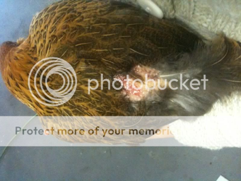 photo-7.jpg