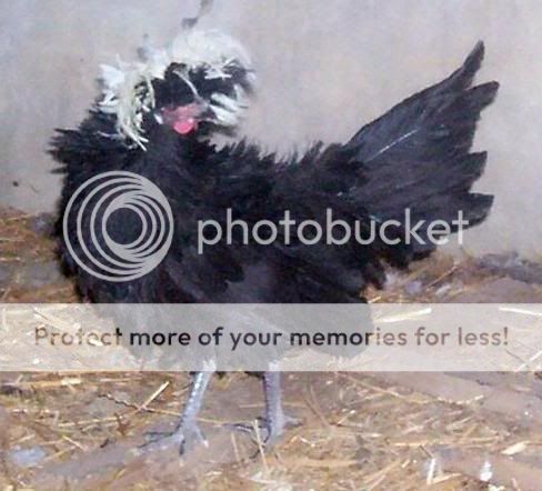 000_5355.jpg