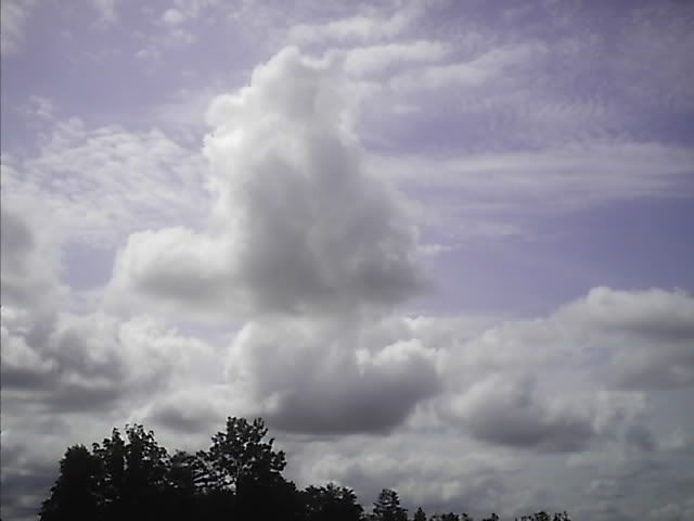 family2009004-2.jpg