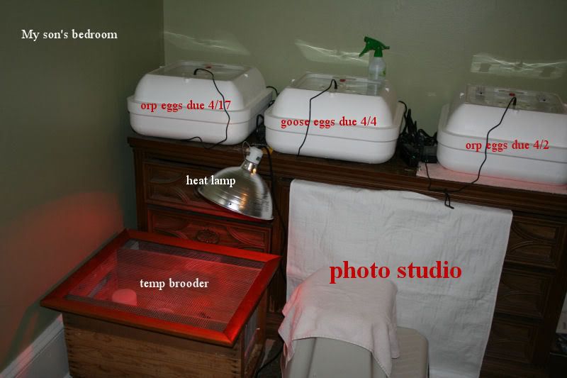 magic1.jpg