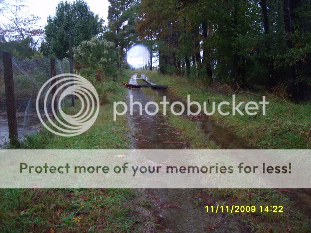 flood002.jpg