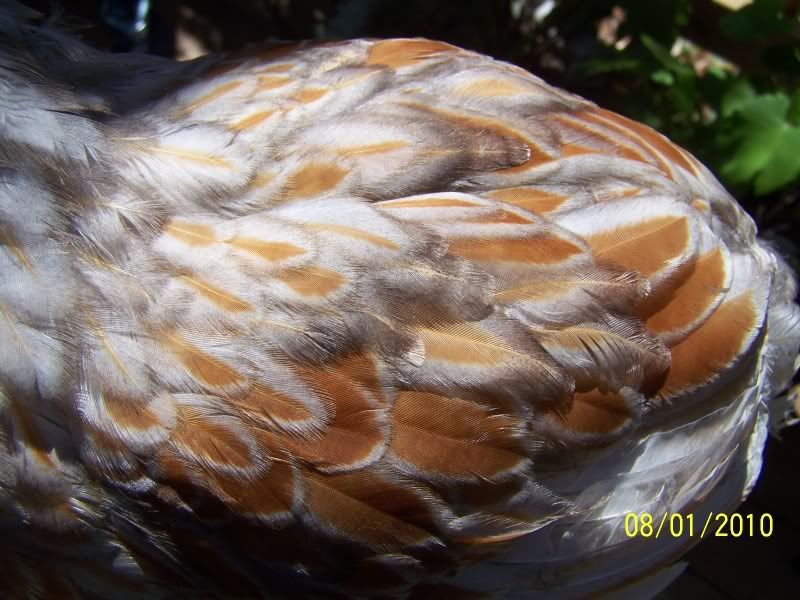 100_5273.jpg