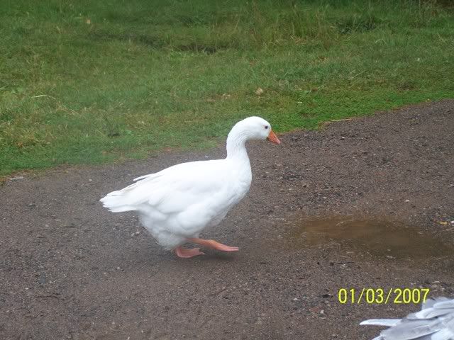100_1655.jpg