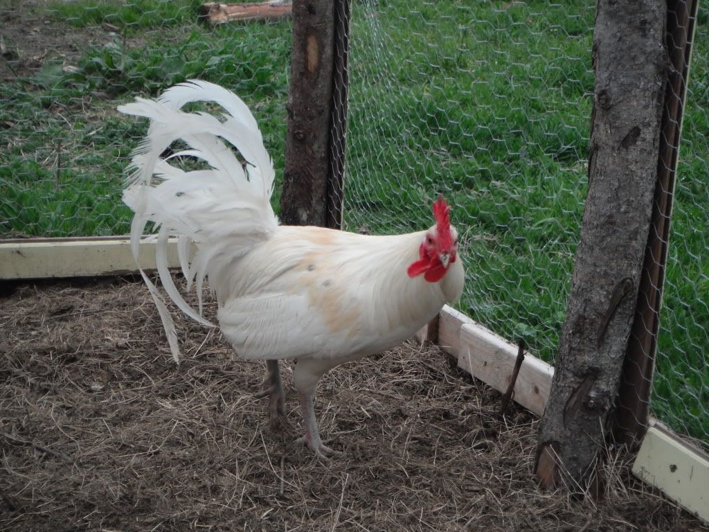 DSCF2174.jpg