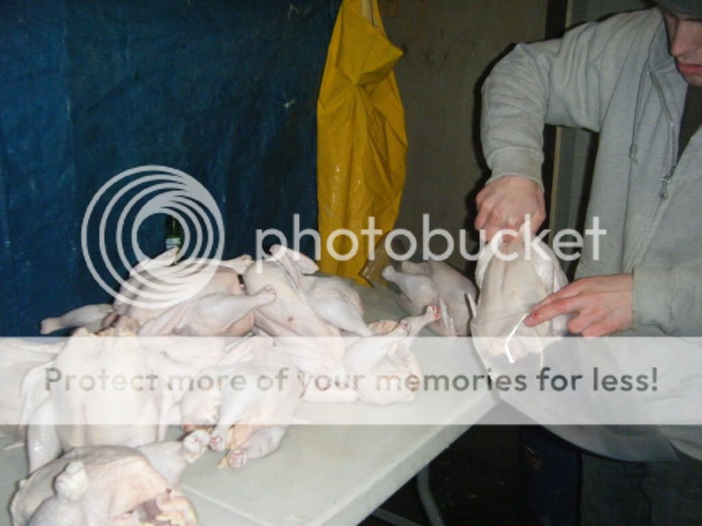 DSCF2465.jpg