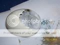 ChickensandDucks034.jpg