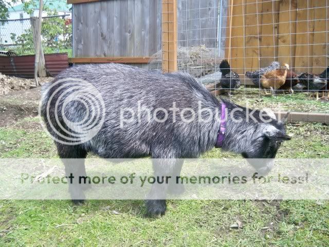 100_1275.jpg