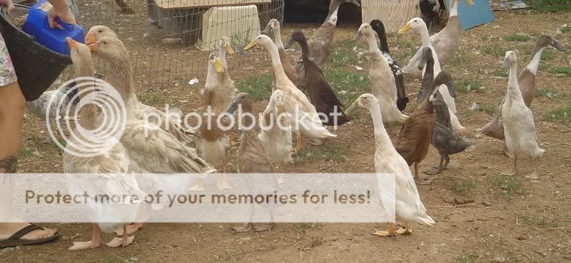 feeding_time.jpg