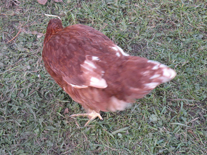 DSCN1048.jpg