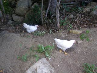 20080713_53.jpg