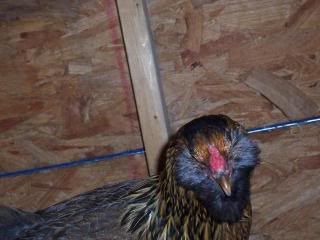 100_3289.jpg