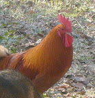 S6305042.JPG