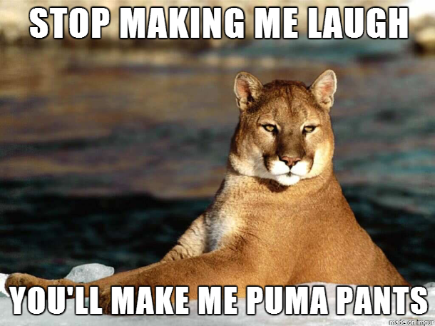 Stop-Making-Me-Laugh-Youll-Make-Me-Puma-Pants-Meme.png
