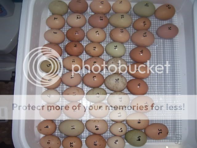 100_2322.jpg