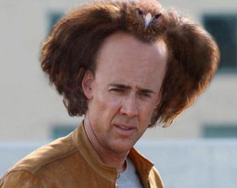 nicolas-cage-hair-is-a-bird.jpg