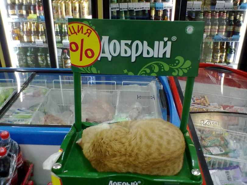 34991_900.jpg
