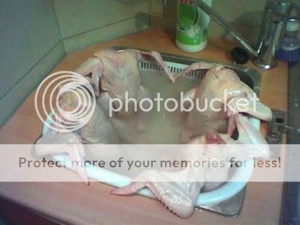 4chicksintub.jpg