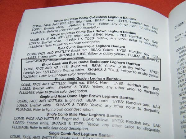 DSCF29611.jpg