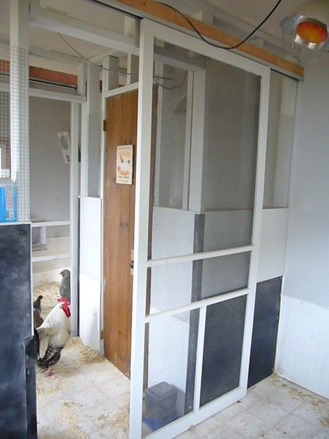 Coop007.jpg