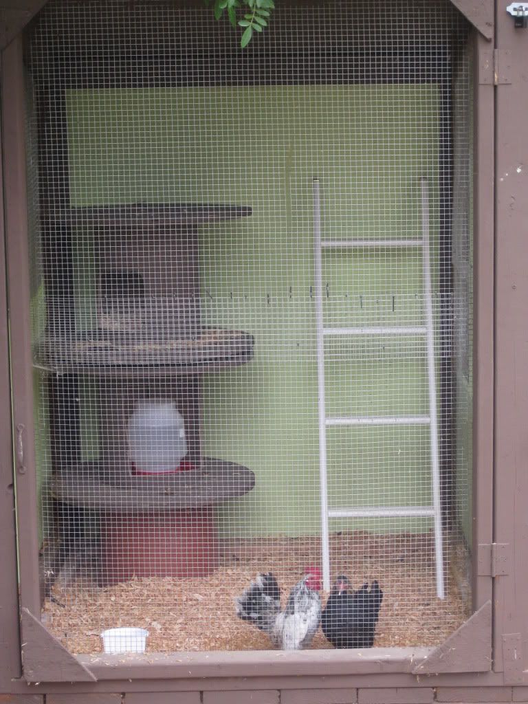 IMG_2637002.jpg