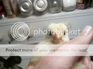 2011-04-30_17-28-32_866.jpg