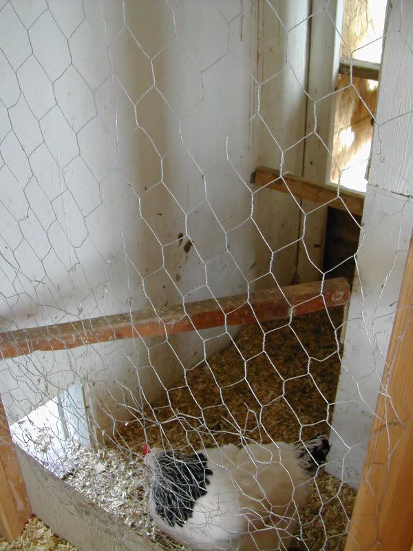 DSCN5018.jpg