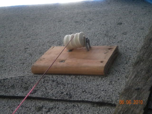ChicksTakeII2010028.jpg