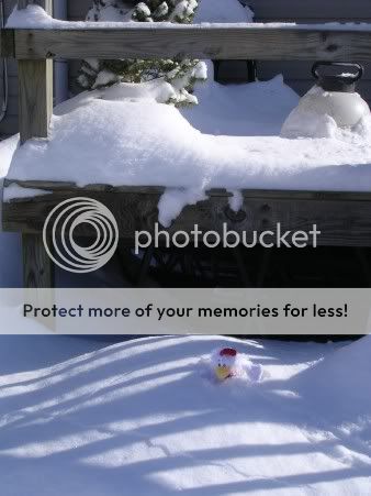 Snow3.jpg