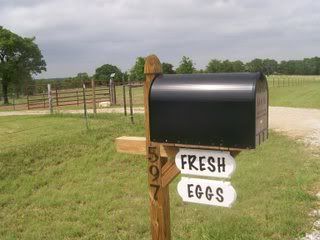 100_1779.jpg