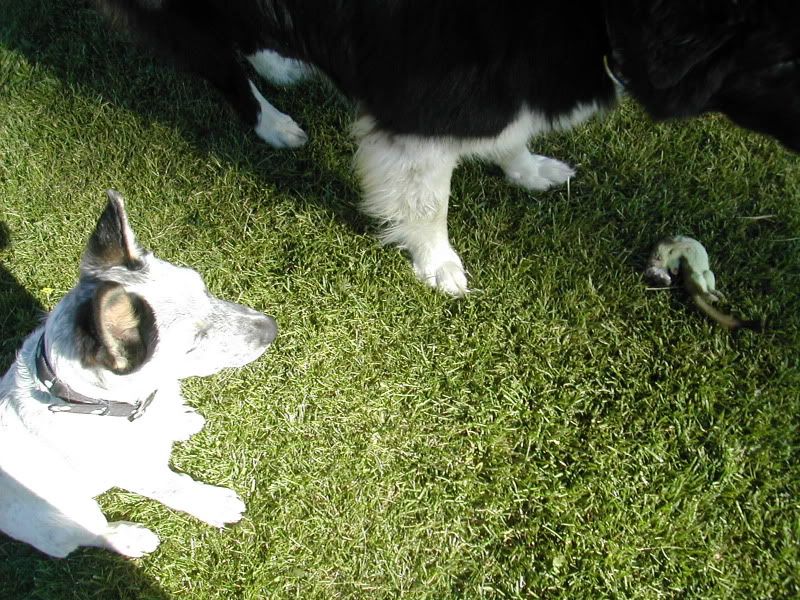DSCN4564.jpg