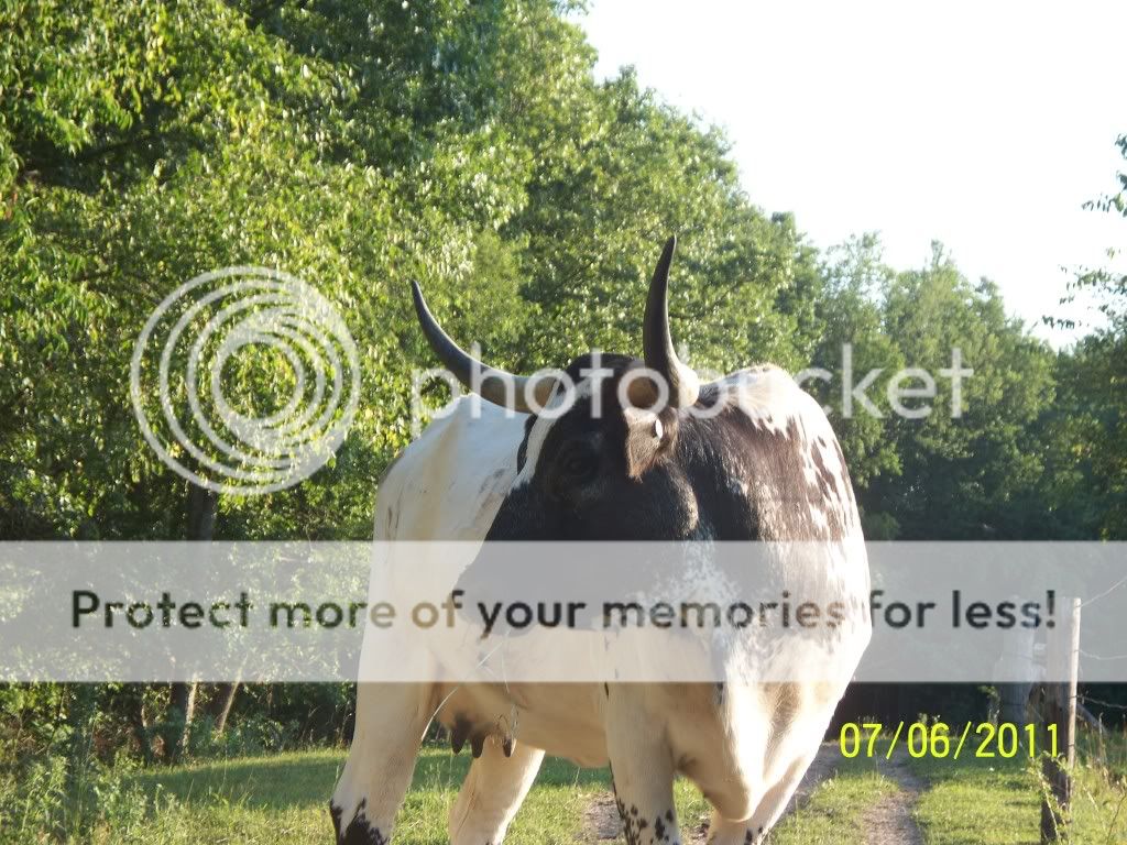 july9015.jpg
