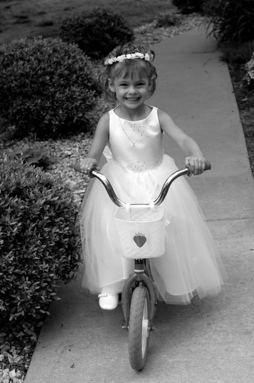 wedding-278-2.jpg