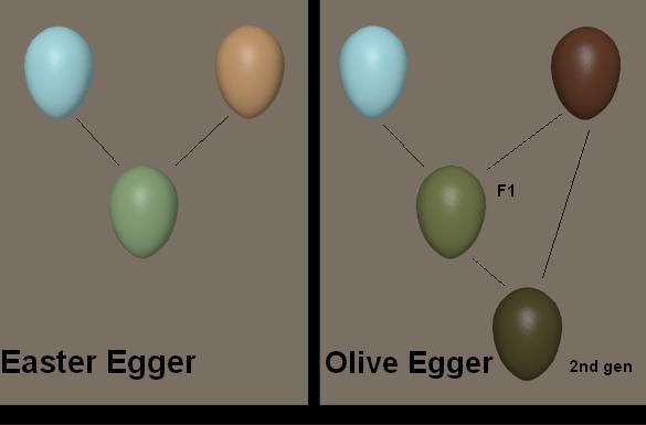 35106a8e_oechart1.jpeg