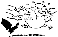 Chasing_Chickens.gif