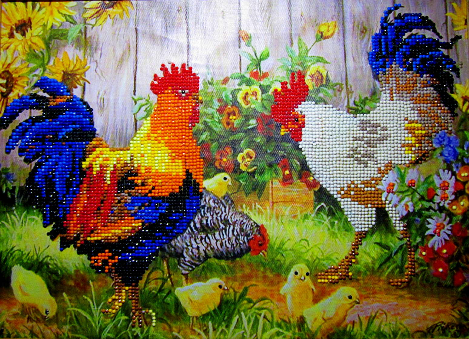 chickdots.JPG