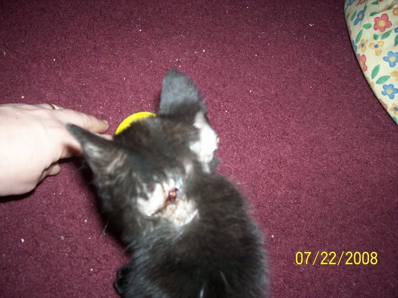 100_5259.jpg