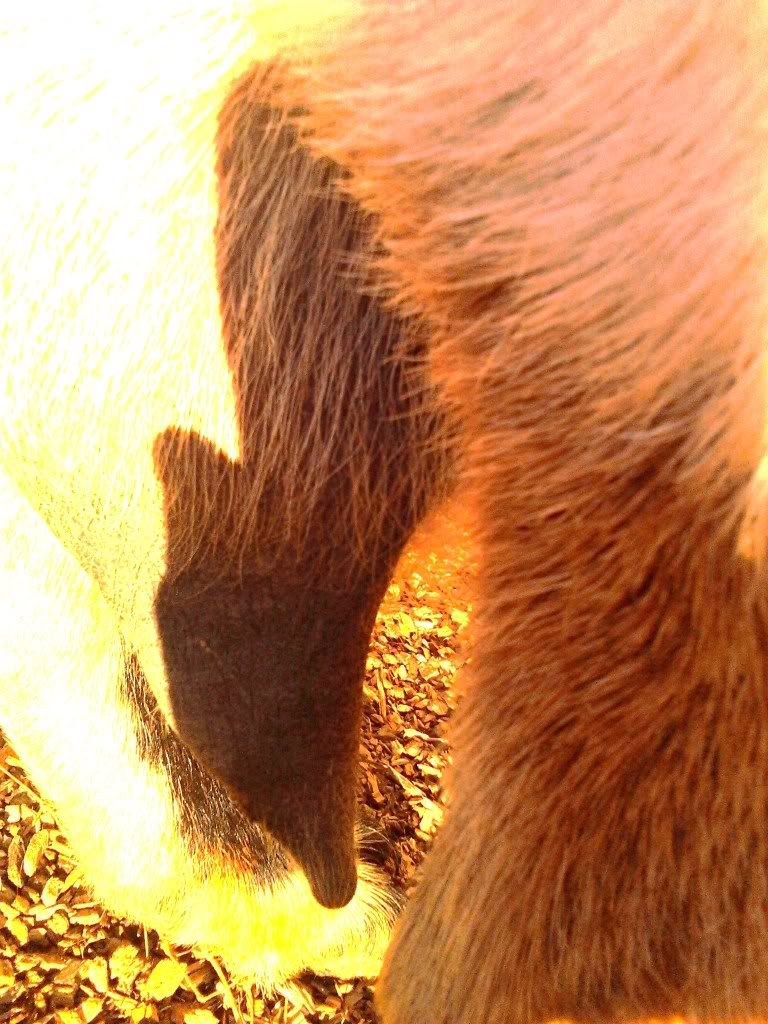 IMG_20120105_084234.jpg