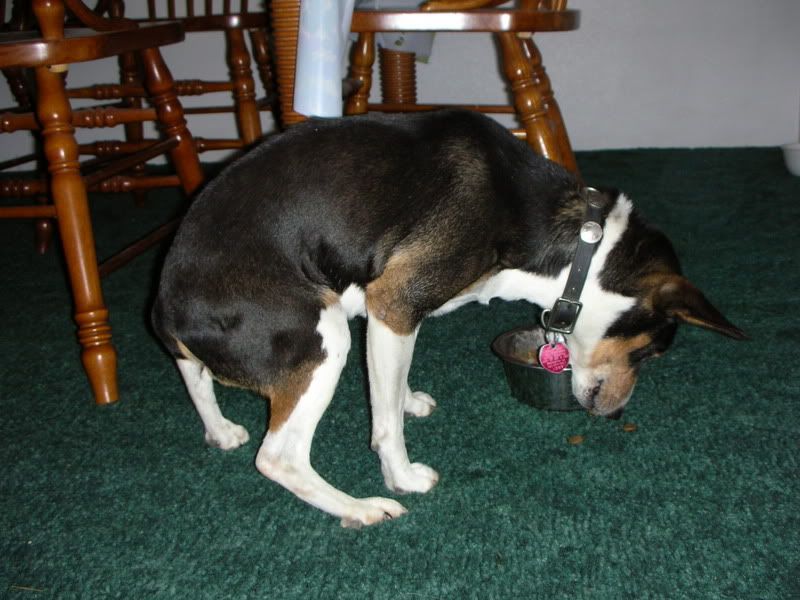 DSCN8283.jpg