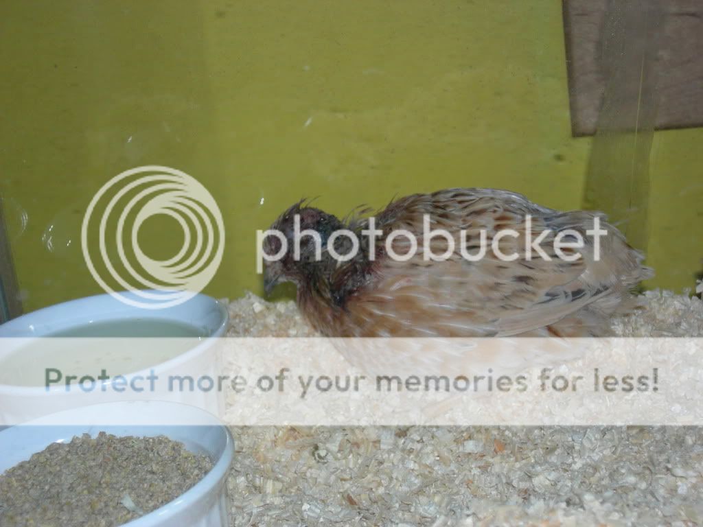 DSCN1834.jpg