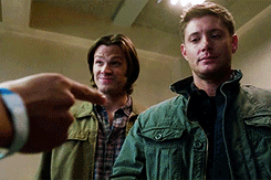 tumblr_mhol4iL0ad1r7jx1do6_250.gif
