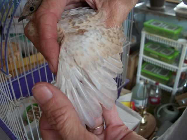 100_5676.jpg