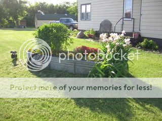 PIctures003.jpg