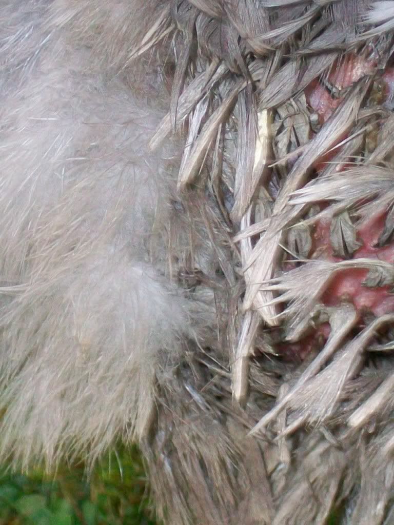 100_0067.jpg