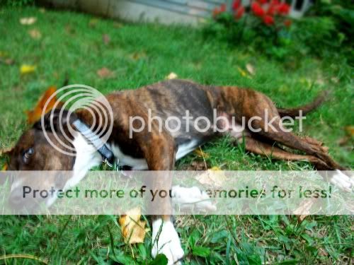 103_5072rs.jpg