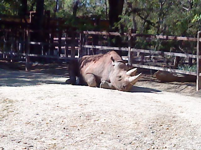 DSC08364.jpg