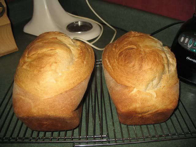 WholeWheatHoneyBread002.jpg