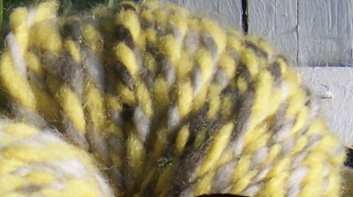 ucv0509b.jpg
